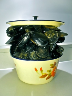 Mussels in Pot